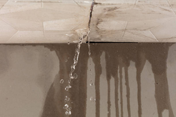 Professional Burst Pipe Cleanup technician working in Bloomfield, NJ